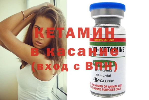 индика Богородицк