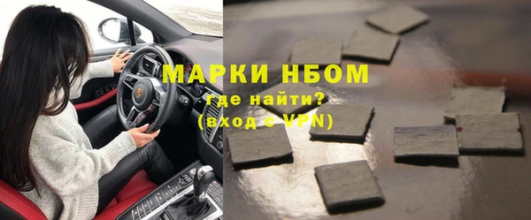 индика Богородицк
