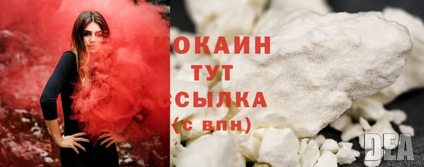 индика Богородицк