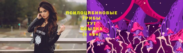 индика Богородицк