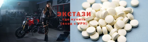 индика Богородицк