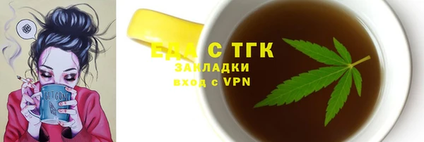 индика Богородицк