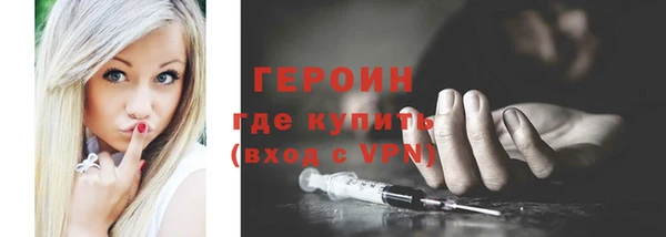индика Богородицк