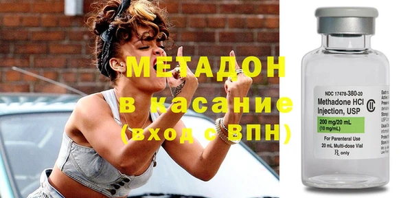 индика Богородицк