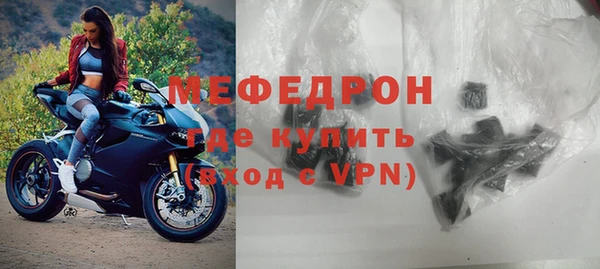индика Богородицк