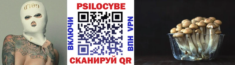 Псилоцибиновые грибы Psilocybe  Очёр 