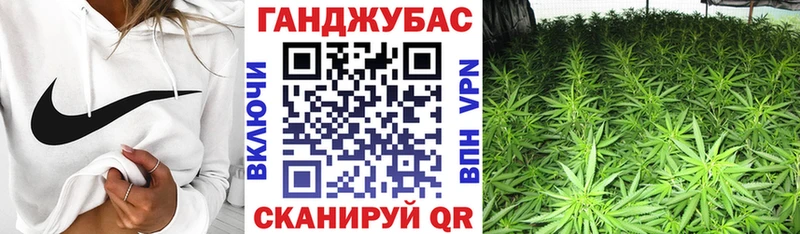 Конопля план  что такое   Очёр 